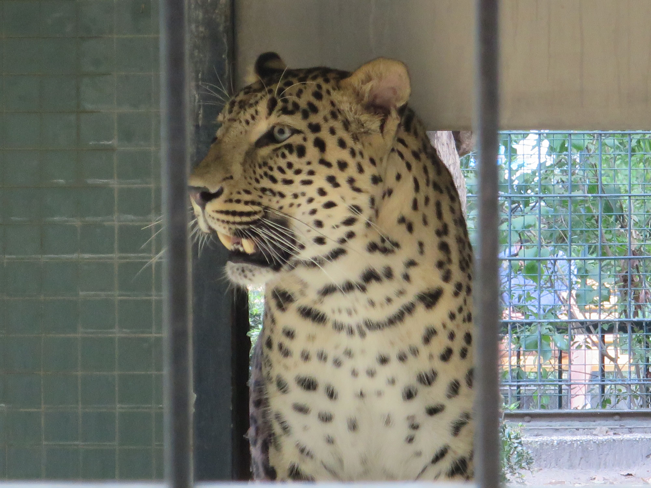 Tierpark Zoo  13
